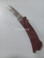 Нож складной сувенирный Лев_1
